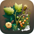 Botanica