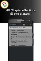 Criminal Law Act 2013 Plakat