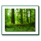 Forest Conservation Act 1980 Zeichen
