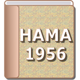 Hindu Adoptions and Maintenance Act 1956 (HAMA) icône