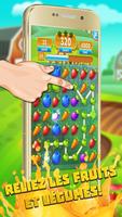 Fruit link smash mania: jeu de Affiche