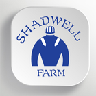 Shadwell icône