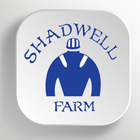Shadwell アイコン