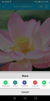 Lotus Flower Wallpapers captura de pantalla 2