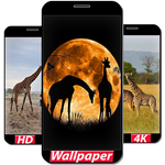 Safari Wallpaper Collection HD icon
