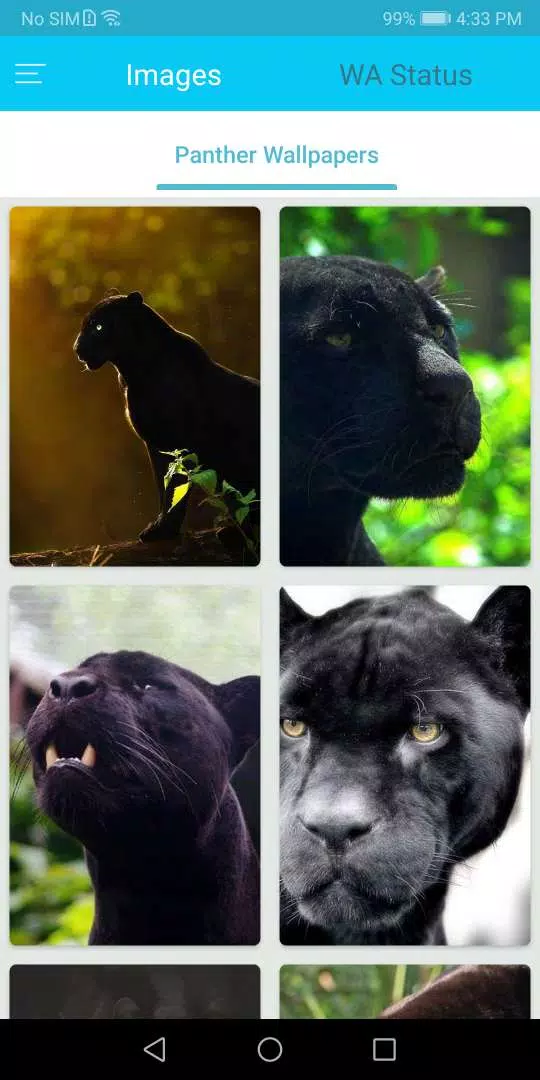 Black Panther Wallpapers APK for Android Download Black Panther Wallpapers APK for Android Download
