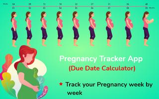 Pregnancy Tracker Affiche