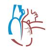 RAAmed - Medical e-Learning