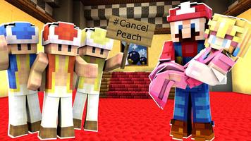 Craft Mario Mod For Minecraft imagem de tela 2