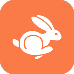 Rabbit VPN icon