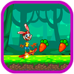Rabbit Skater Adventure