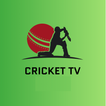 Live Cricket T20 ODI