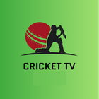 Live Cricket T20 ODI icon