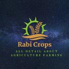 Rabi Crops All About Farming アイコン