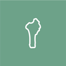 TOSSIN : Constitution du Bénin APK