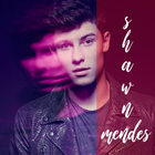 Señorita - Shawn Mendes Song icône