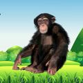 Monkey Sounds Simulator 3d