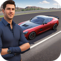 Real Car Simulation