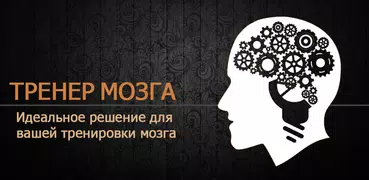 развивающие игры для взрослого
