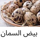 فوائد بيض السمان icon