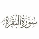 عجائب قراءة سورة البقرة يوميا icon