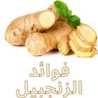 فوائد الزنجبيل وأضراره icon