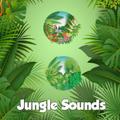 Jungle Sounds Effects 3D