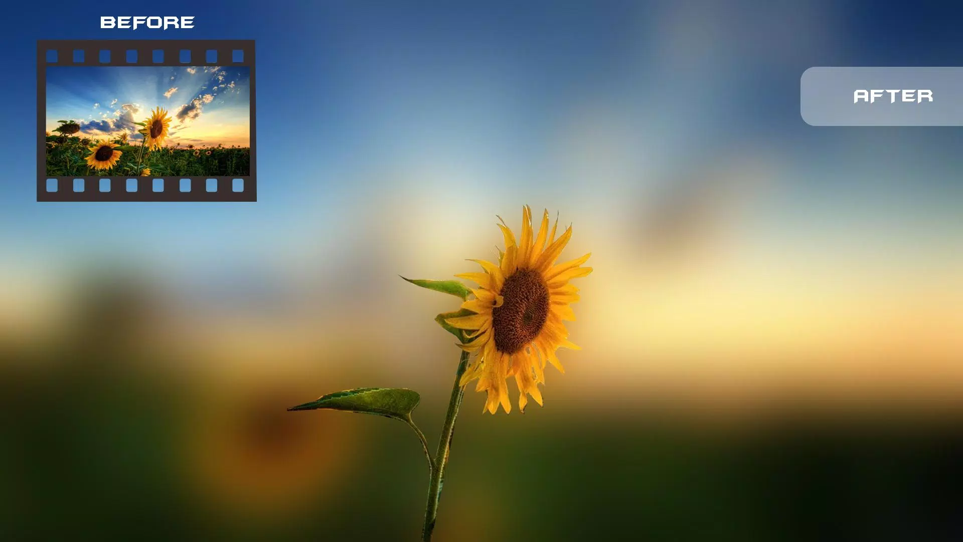 Blur Photo Background DSLR Camera Bokeh Effect APK for Android Download