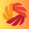 Fly Stream Player APK