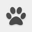 Paws