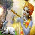 Radha Krishna Songs & Ringtone
