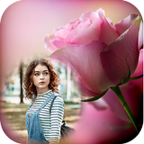 Red Rose Photo Frame آئیکن