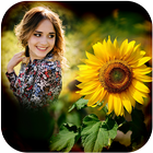 Sunflower Photo Frame ikona