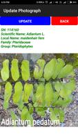 2 Schermata Classification of Plants and Fungi