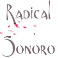 Radical Sonoro