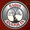 Radyo Anadolu ikon