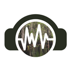 Bayou Sounds Radio icône