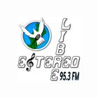 Radio Estereo Libre 95.3 FM-icoon