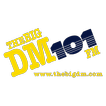 101.3 The Big DM