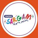 Radio Sargam 90.8 FM APK