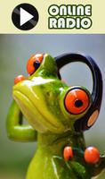 Live Country Line FM Station 24h Player online captura de pantalla 1
