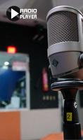 Live Marbella Radio Oro Player screenshot 2