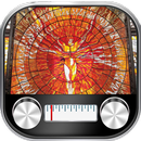 Radio Estado de Mexico - FM APK