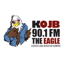 90.1 FM The Eagle APK
