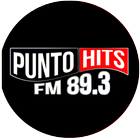 Punto Hits أيقونة