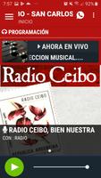 Radio Ceibo Ekran Görüntüsü 3