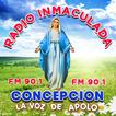 Radio Inmaculada Concepción 90.1 FM.