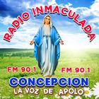 Radio Inmaculada Concepción 90 icon