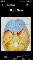 Atlas of CT Anatomy imagem de tela 1