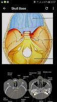 Atlas of CT Anatomy imagem de tela 2